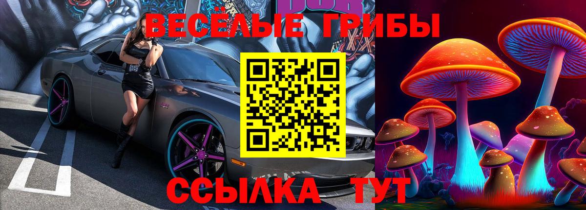 продажа наркотиков  Галлюциногенные грибы MAGIC MUSHROOMS  Вход с VPN  Галлюциногенные грибы ЛСД  Липецк 